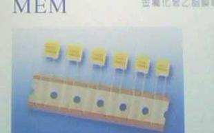 金属化聚乙脂膜电容器 高性能电路中的关键元件